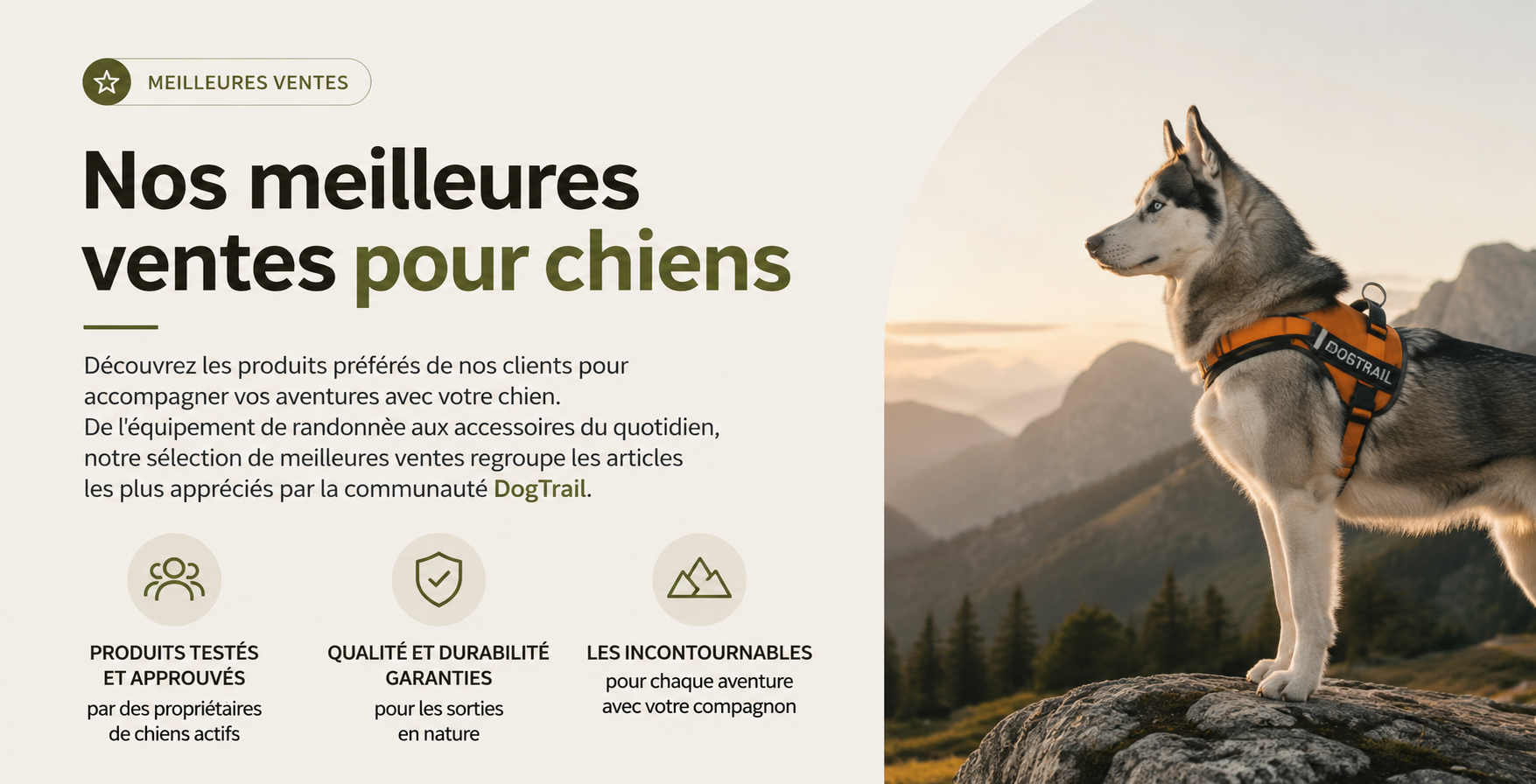 Vos accessoires favoris