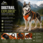 Harnais DogTrail Explorer™