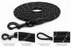 Longe premium DogTrail Horizon™