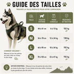 Harnais DogTrail Explorer™