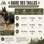 Harnais DogTrail Trek™