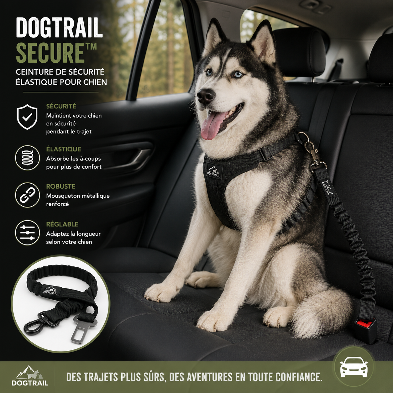 Ceinture de sécurité élastique DogTrail Secure™