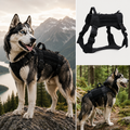 DogTrail Trek™