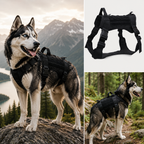 Harnais DogTrail Trek™