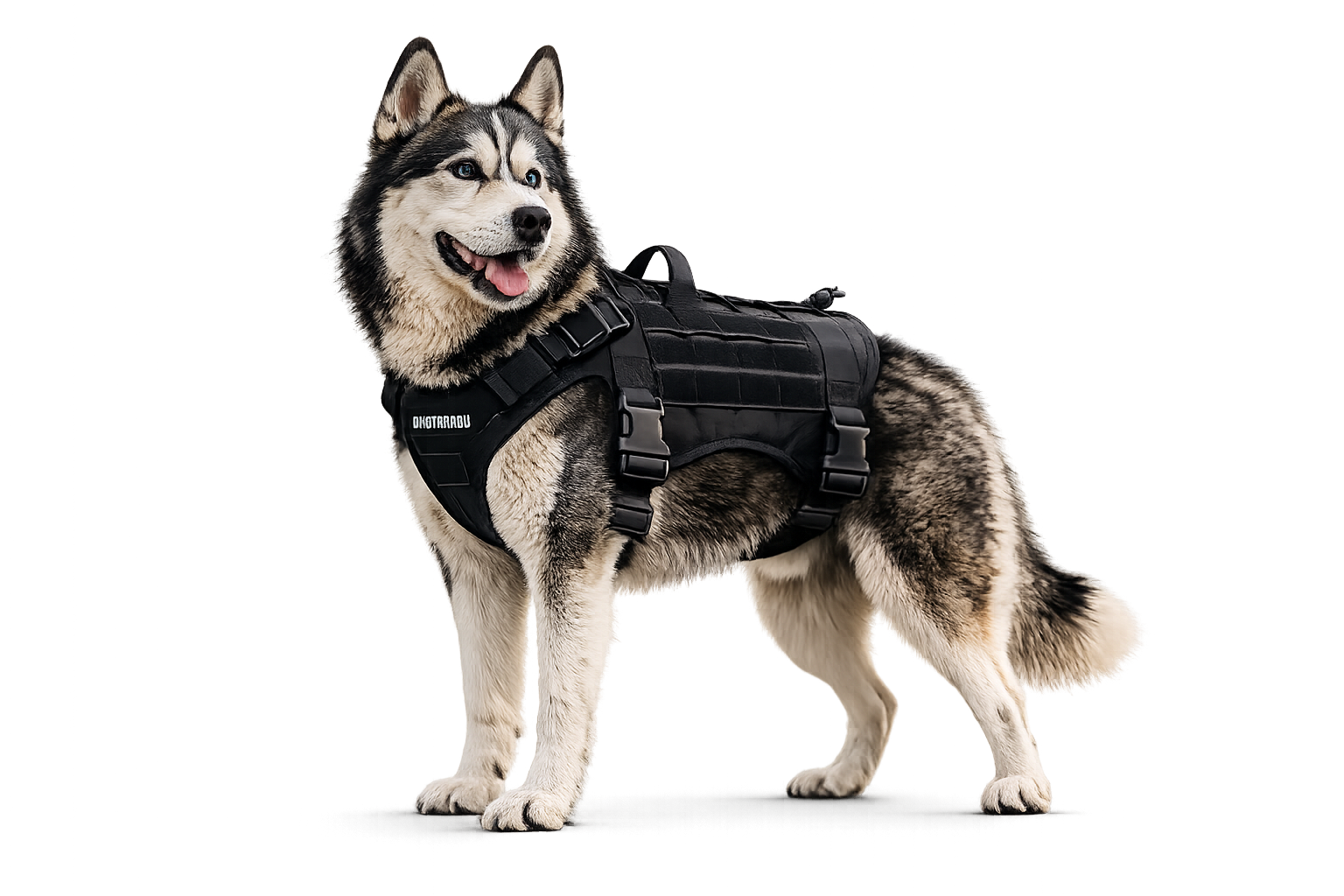 DogTrail Explorer™