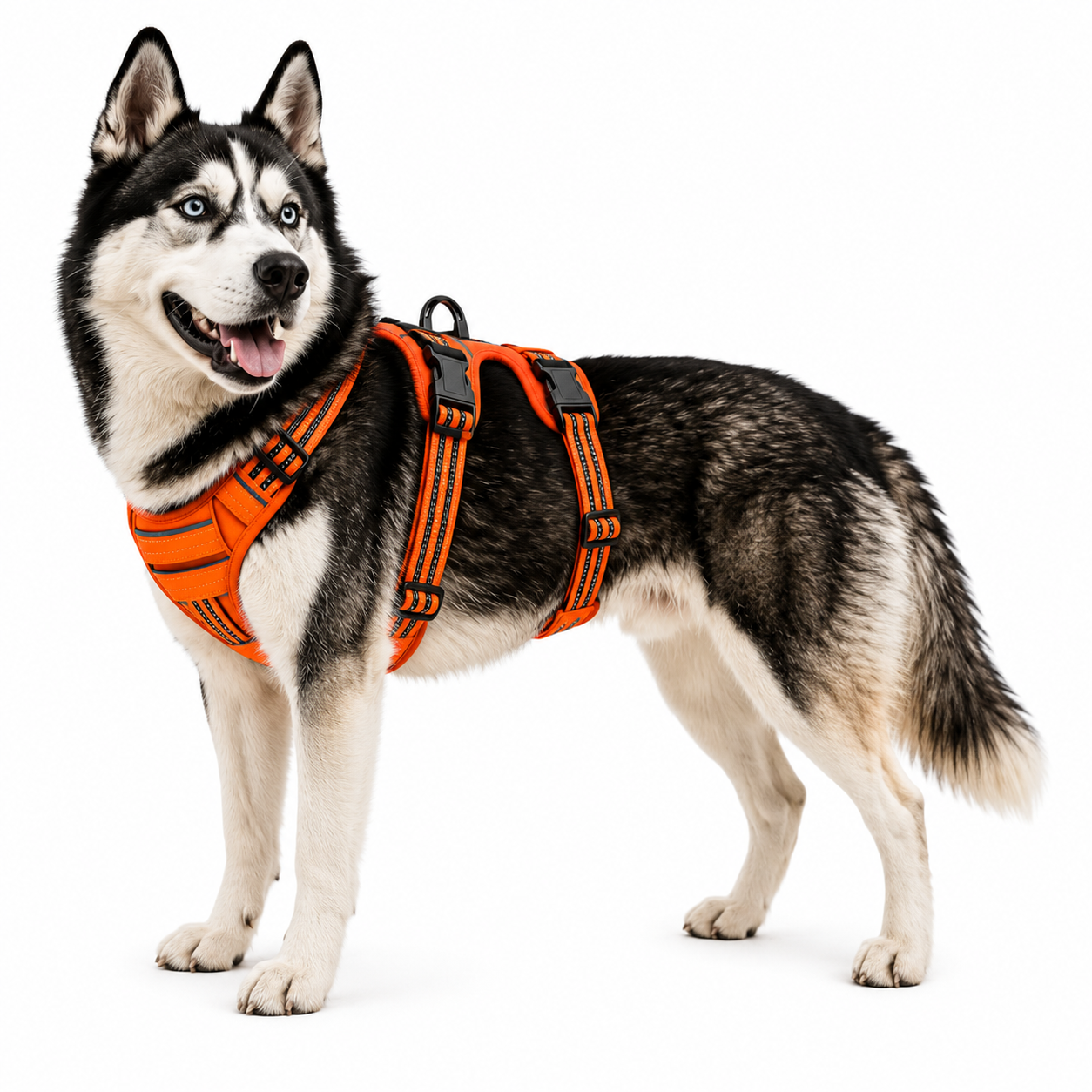 Harnais DogTrail Trek™