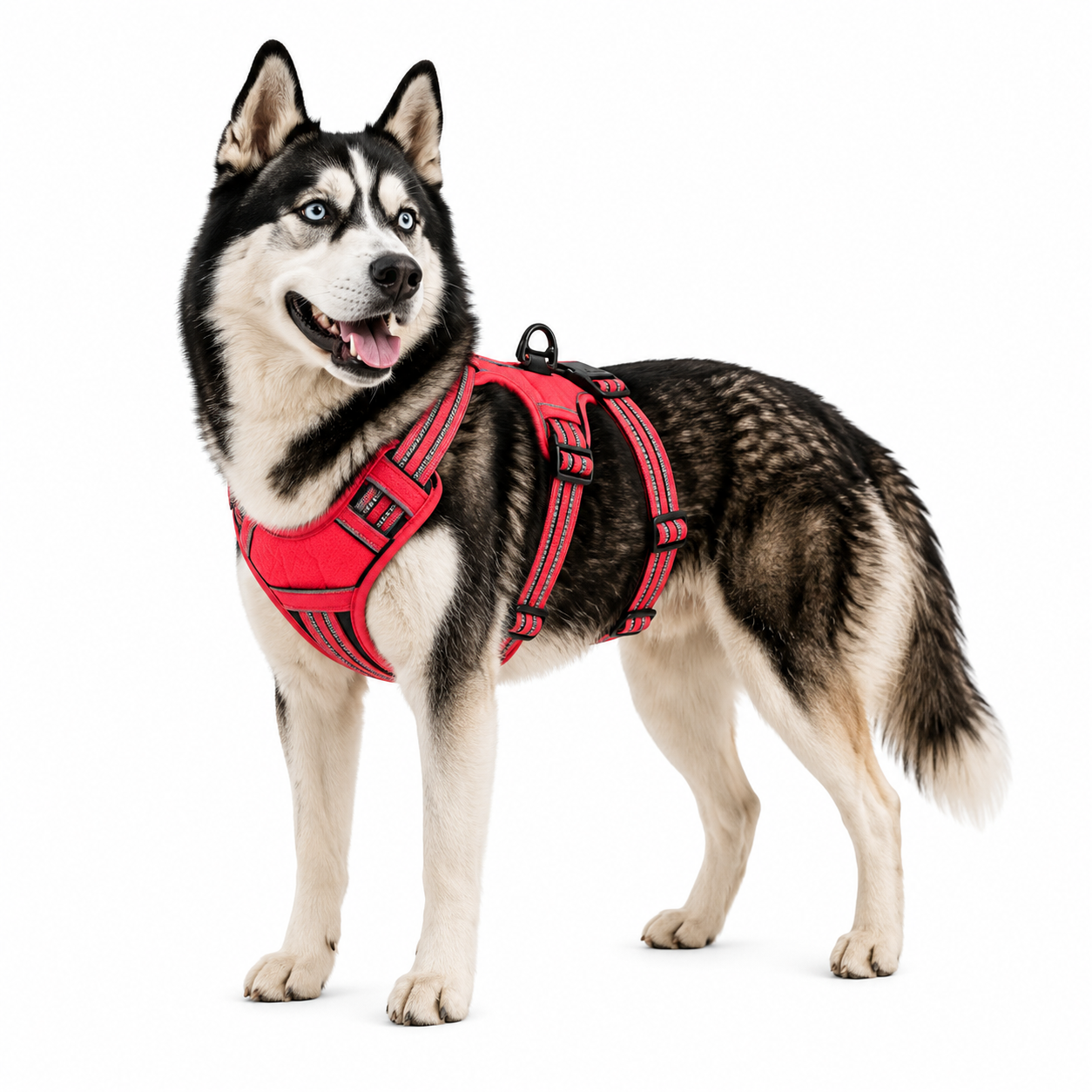Harnais DogTrail Trek™