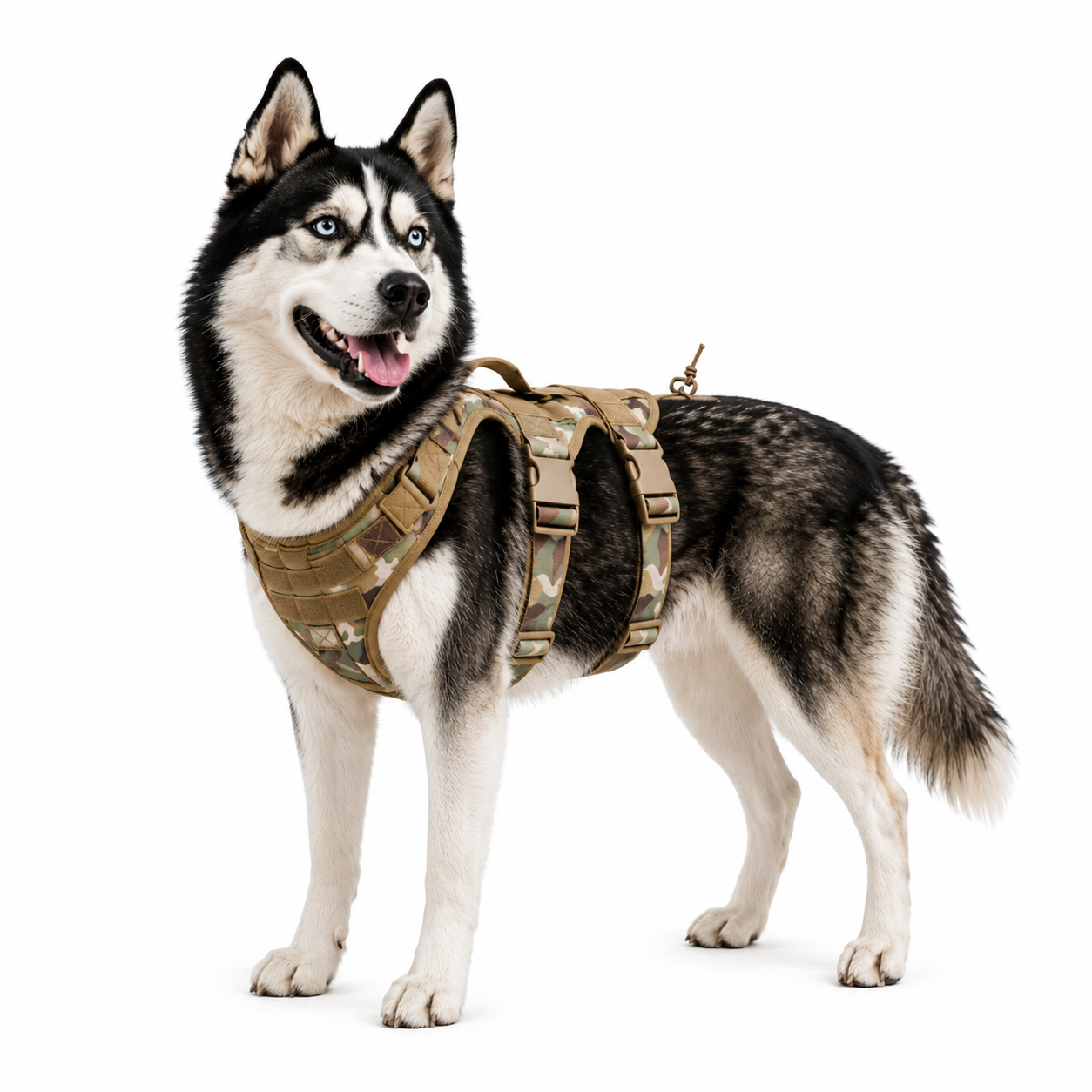 DogTrail Trek™