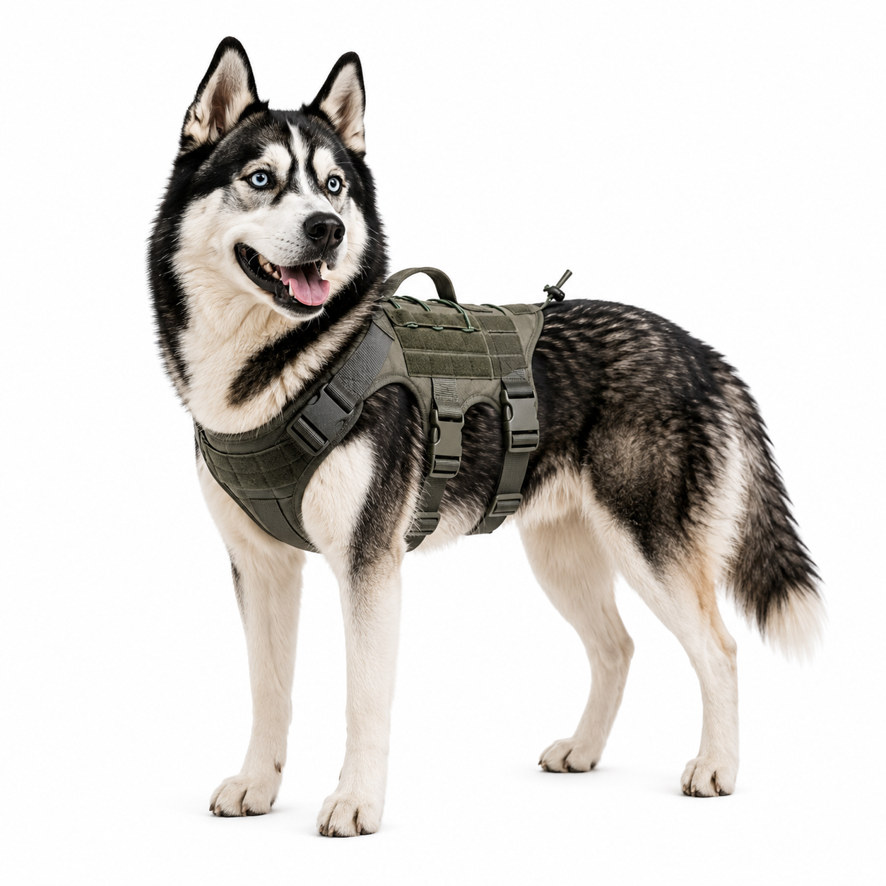 DogTrail Trek™