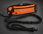 Laisse Ceinture DogTrail Nomad™