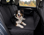 Housse pour voiture DogTrail Guardian™