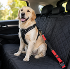 Ceinture de sécurité élastique DogTrail Secure™